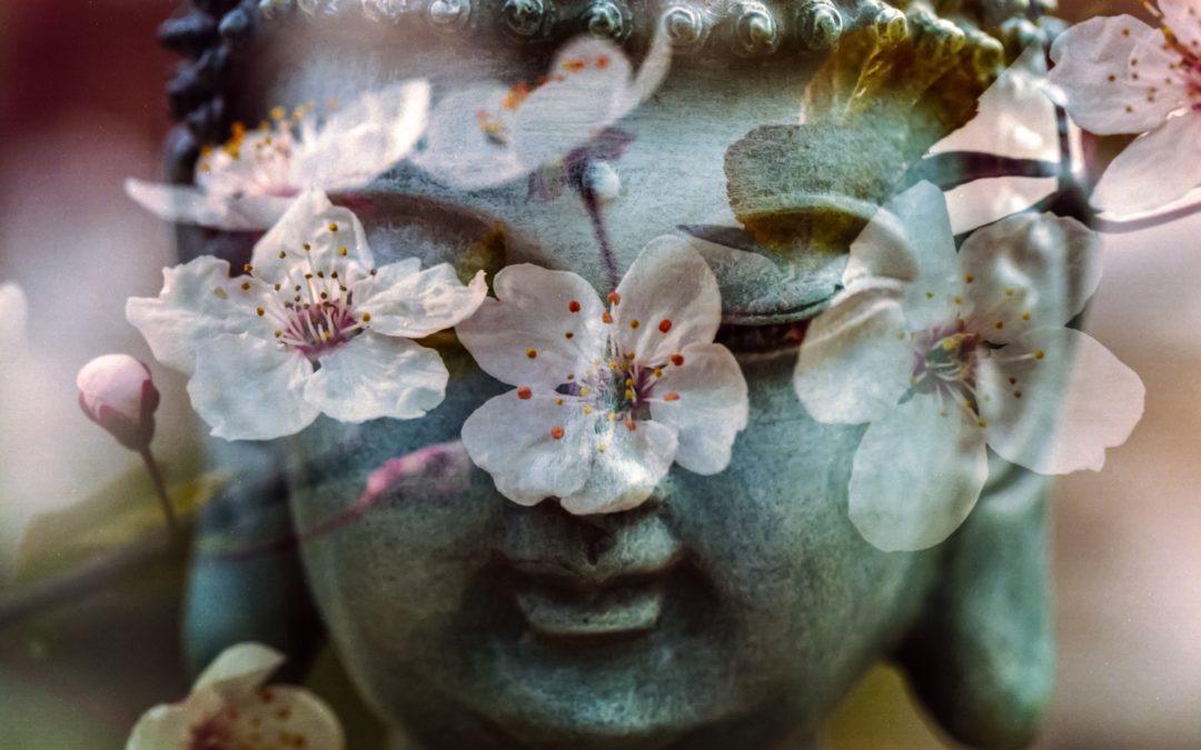 LIFELIGHT ASTROLOGY 25 May 2017