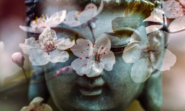 LIFELIGHT ASTROLOGY 25 May 2017