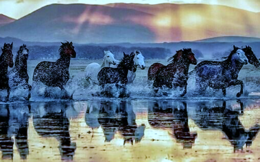 Astrology Update 16th June – Full Moon in Sagittarius