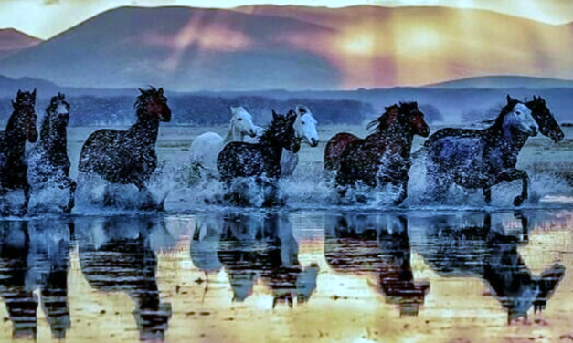 Astrology Update 16th June – Full Moon in Sagittarius