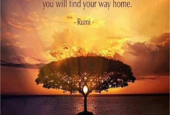 NEW MOON AUGUST 1ST IN LEO/ MERCURY TURNS DIRECT