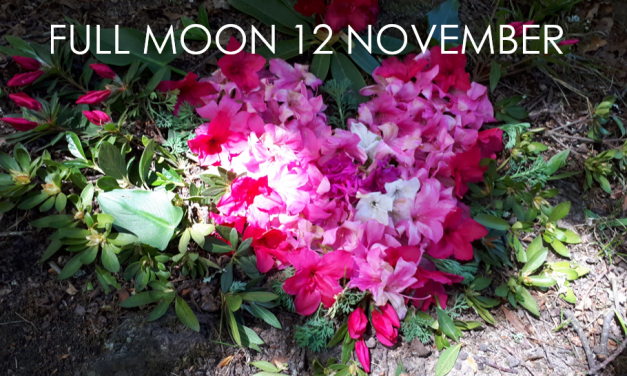 FULL MOON NOVEMBER – Be Here Now