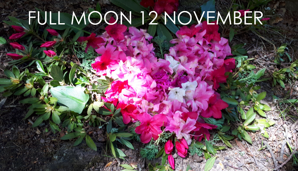FULL MOON NOVEMBER – Be Here Now