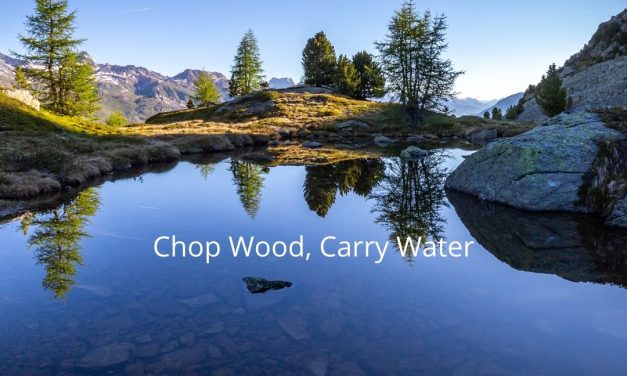 FULL MOON MARCH 9TH – Chop Wood, Carry Water