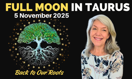 Full Moon November 5th 2025 – Back to our Roots